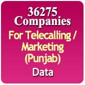 For Telecalling / Marketing Data From Punjab - 36275 B2B Companies Data - All Types Manufacturers, Exporters, Importers, Corporates, Distributors, Dealers, Retailers, Professionals Etc. - In Excel Format