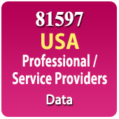 USA 81597 Professional / Service Providers (All Types) Data - In Excel Format